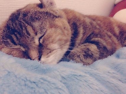 お子さんに「休むべき時は休む」姿を見せてあげてくださいね