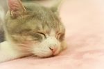 レイキあるある⑩よく眠れる
